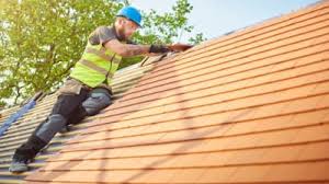 Best Roof Waterproofing  in Mckeesport, PA