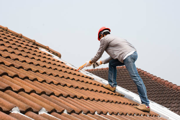 Best Asphalt Shingle Roofing  in Mckeesport, PA