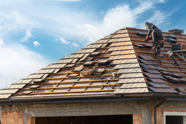 Best Emergency Roof Repair Services  in Mckeesport, PA